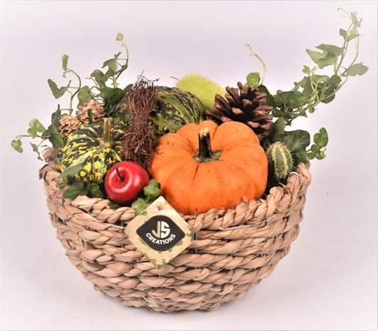 arr. Sierfruit 18cm Pot