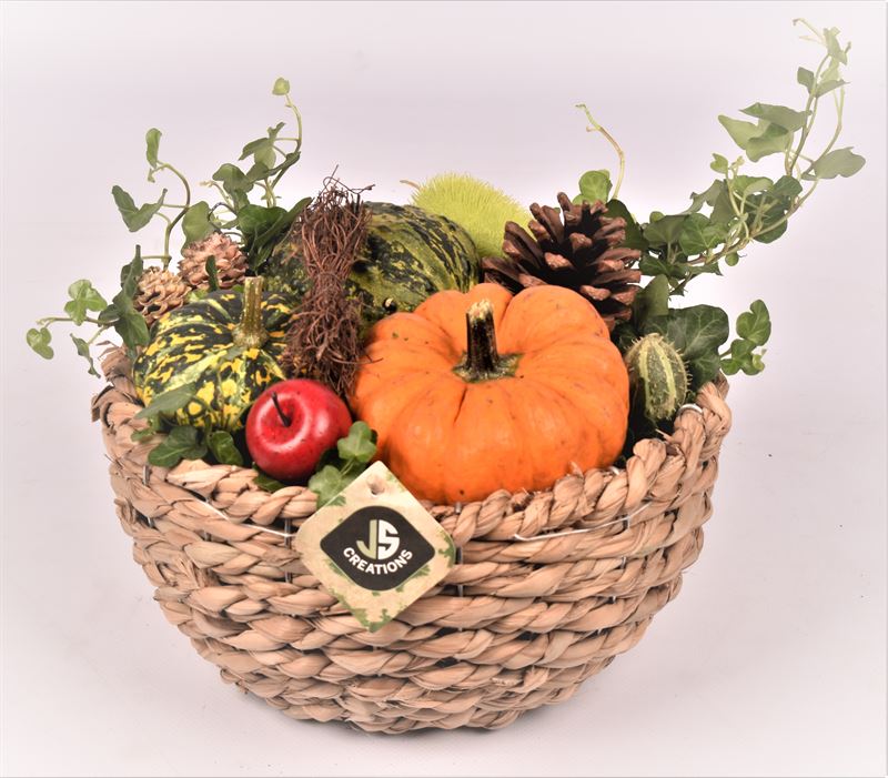arr. Sierfruit 18cm Pot