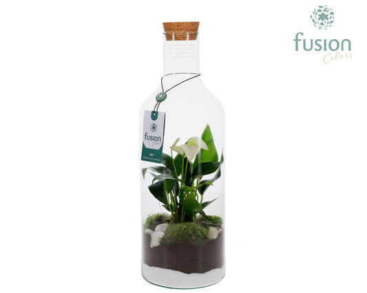 Green Bottle Fles Medium met Anthurium 43cm 15cm Pot
