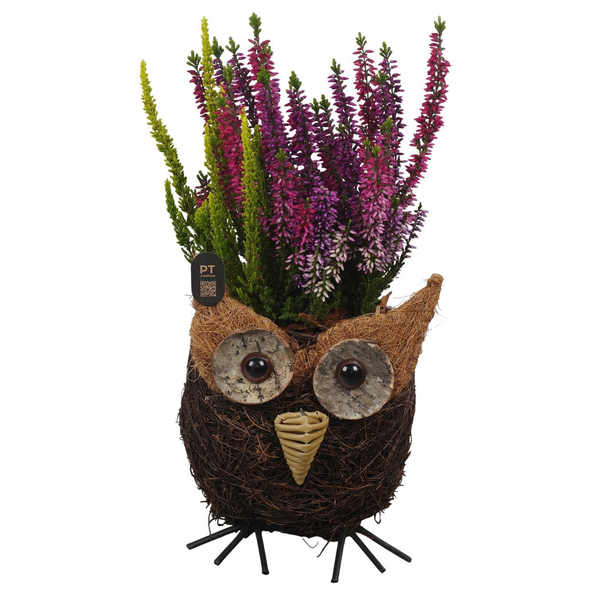 Outdoor arrangement 30cm 15cm Pot