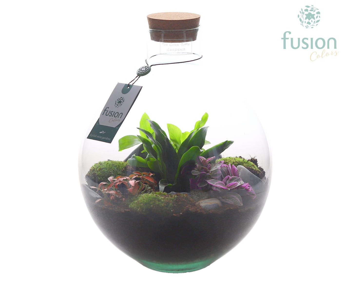 Terrarium Okaido Large met Arrangement 4pp 35cm 31cm Pot