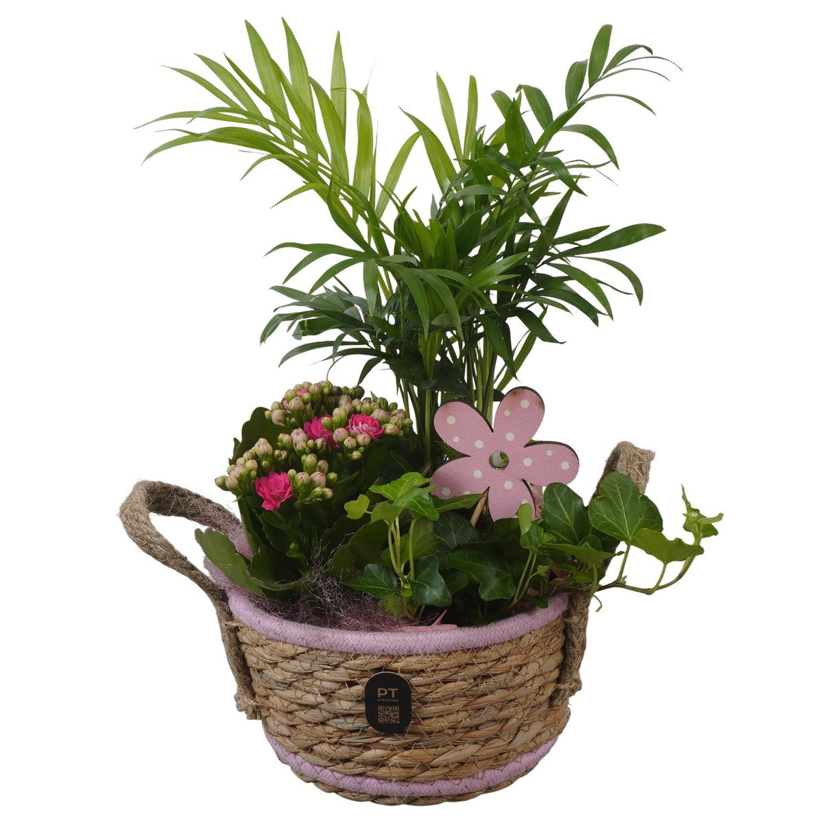 Indoor arrangement 32cm 15cm Pot