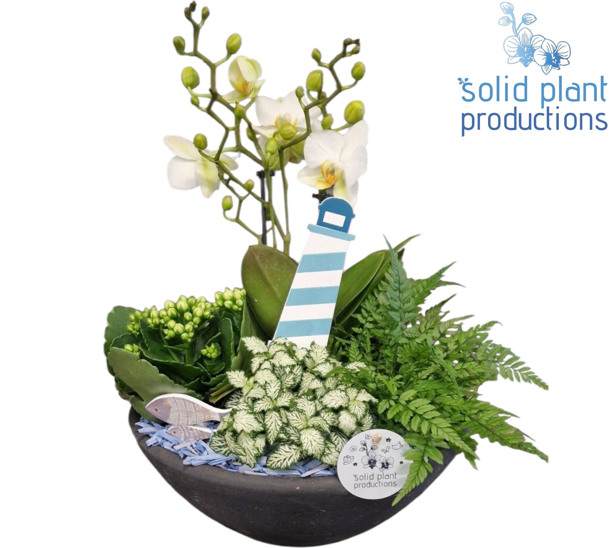 PH011 Ebbi Medium Blue Maritiem 45cm 27cm Pot