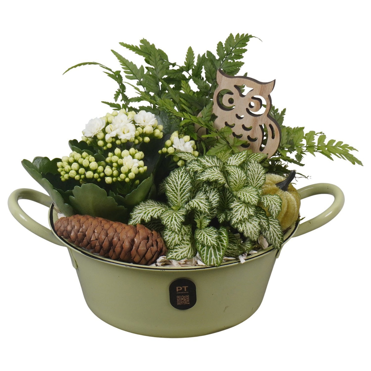 Indoor arrangement 19cm 19cm Pot