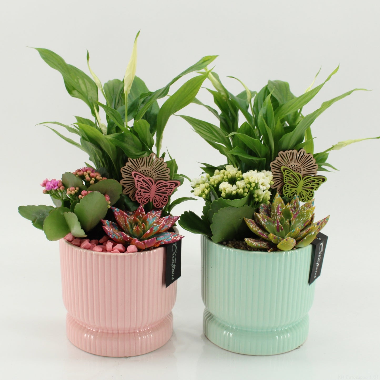 SECR-2608M Summer Essentials Colors 35cm 14cm Pot