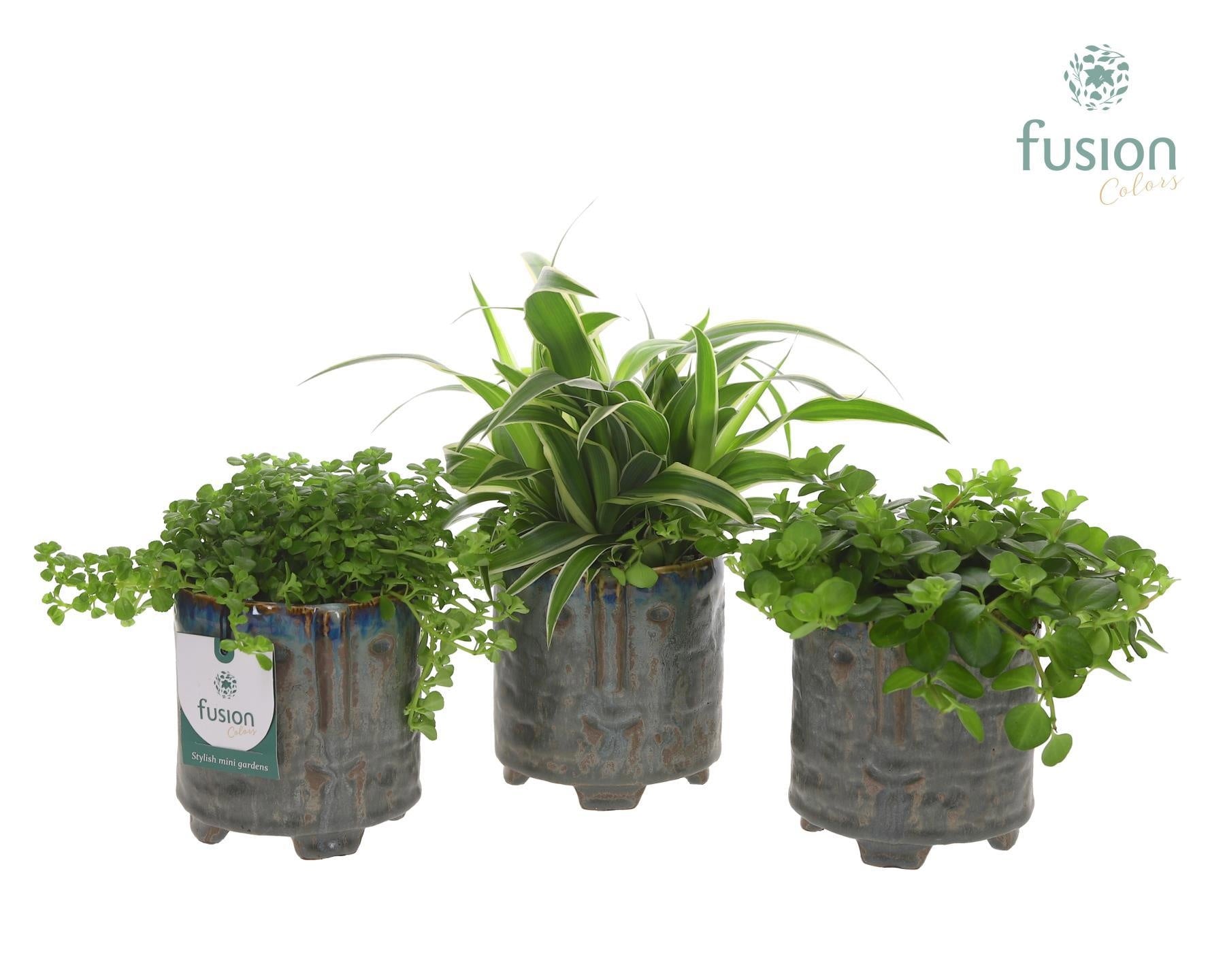 Fusioncolors BV Pot op voet keramiek Medium met Groen plant Pack of 8