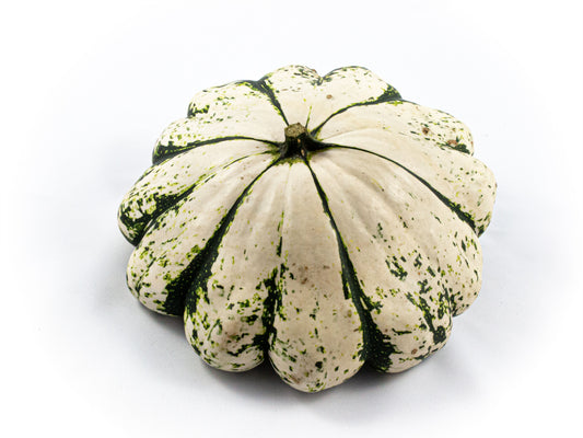 Cucurbita Pattisson mix 12cm 20cm Pot