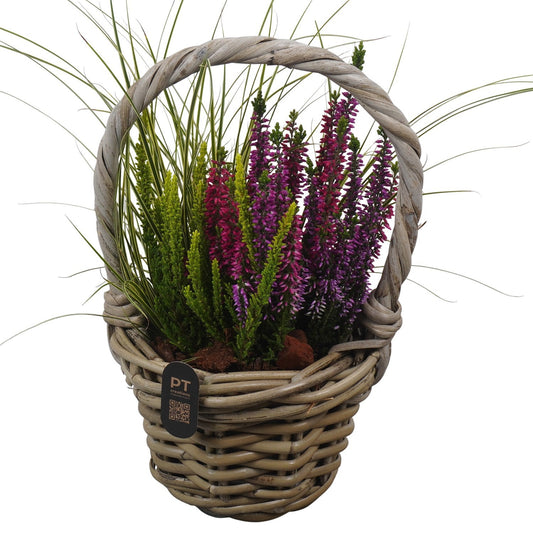 Outdoor arrangement 40cm 16cm Pot