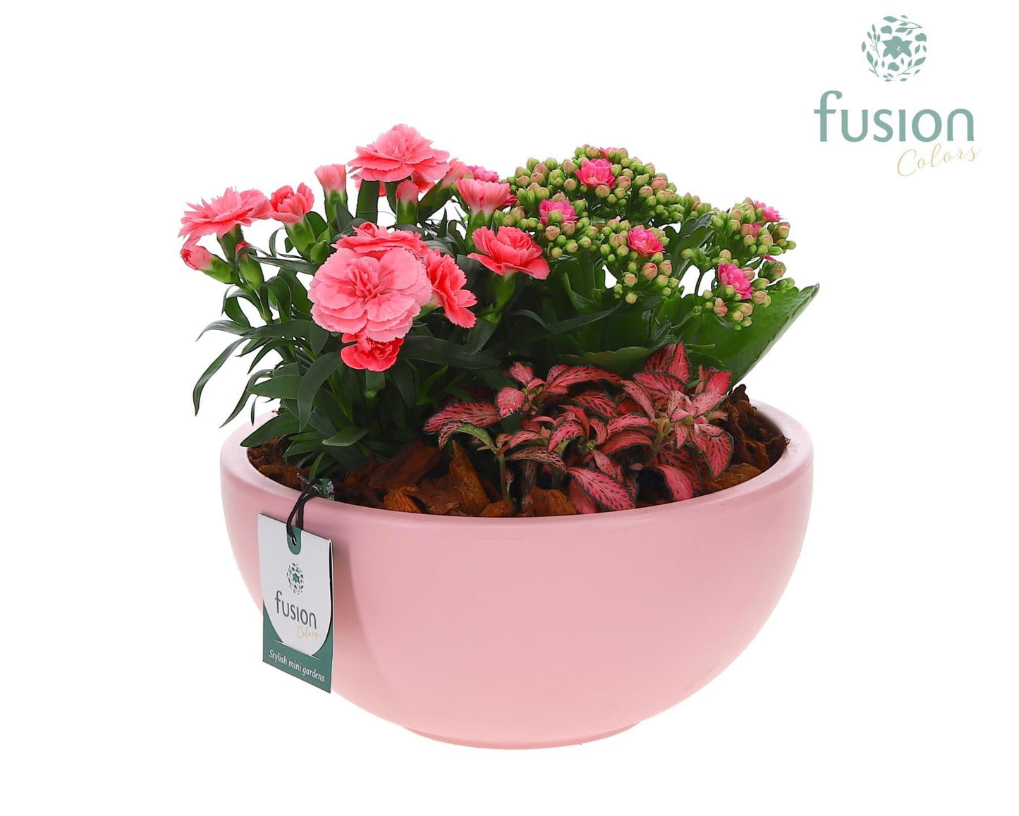 Keramiek Schaal roze met arrangement 29cm 22cm Pot