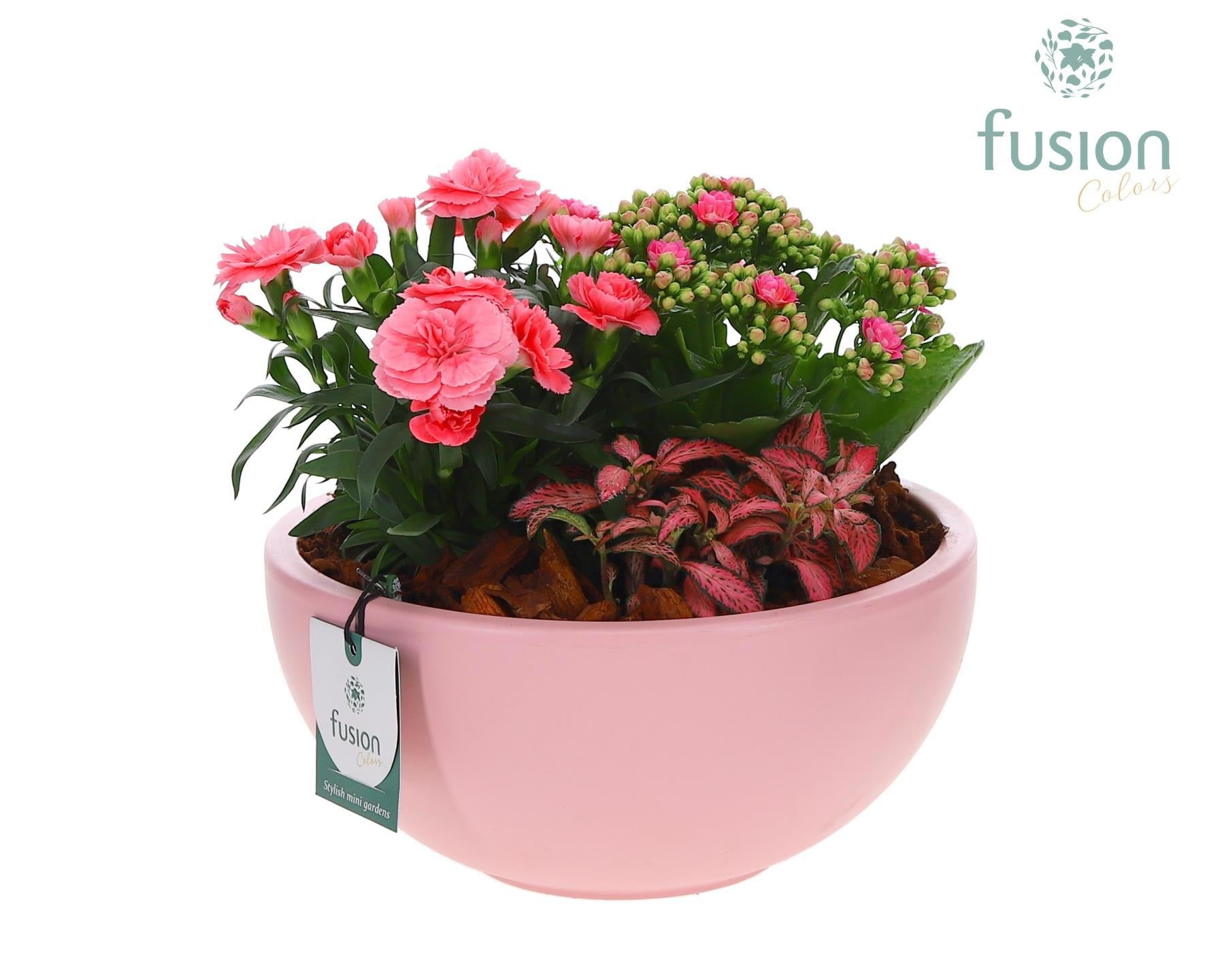Keramiek Schaal roze met arrangement 29cm 22cm Pot