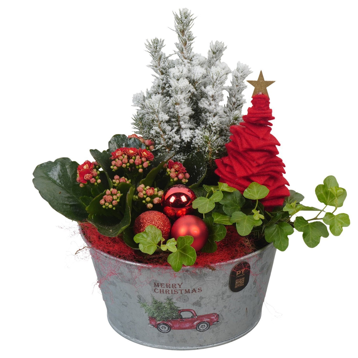 Christmas arrangement 27cm 18cm Pot