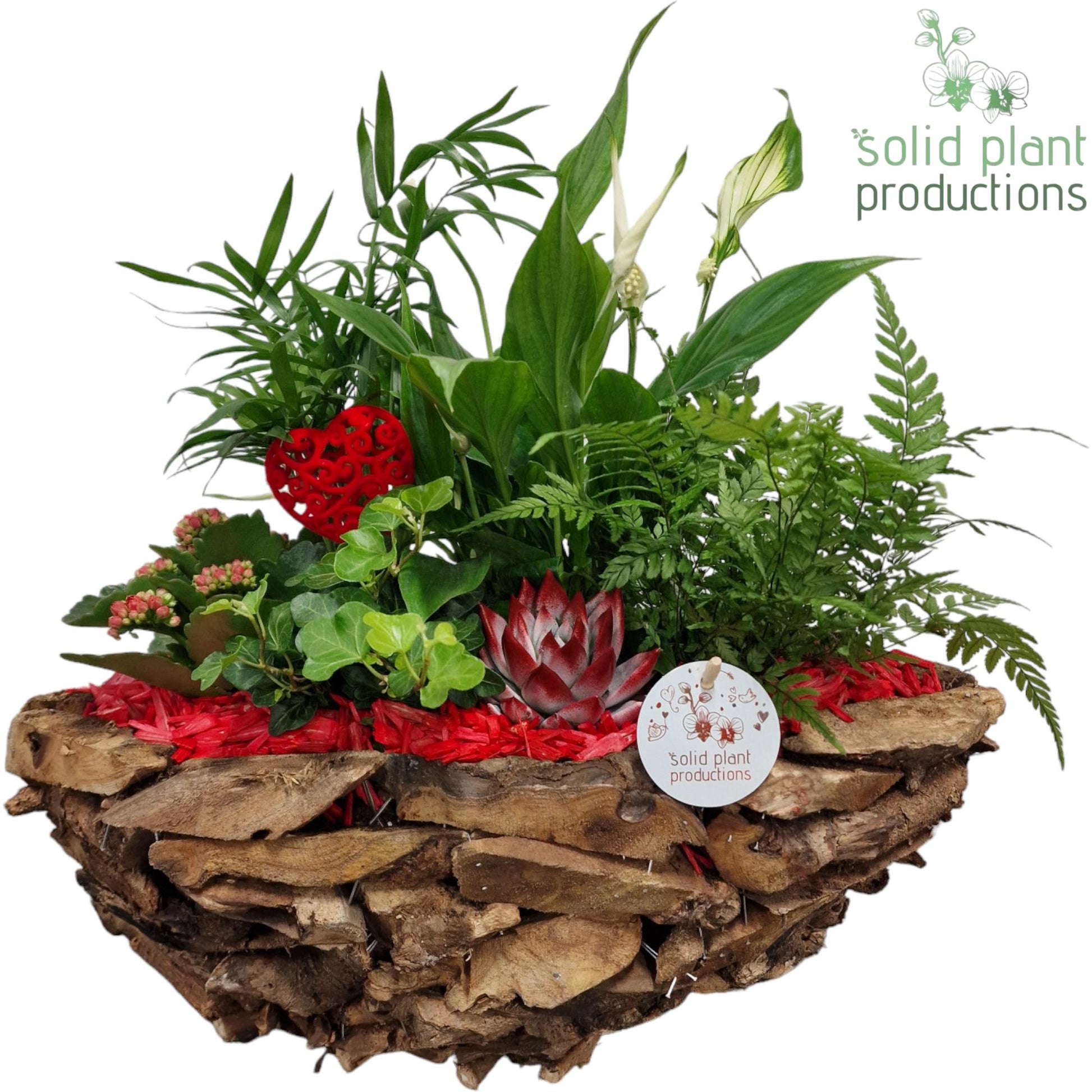 SCE012 Driftwood Boat Red Love 45cm 46cm Pot