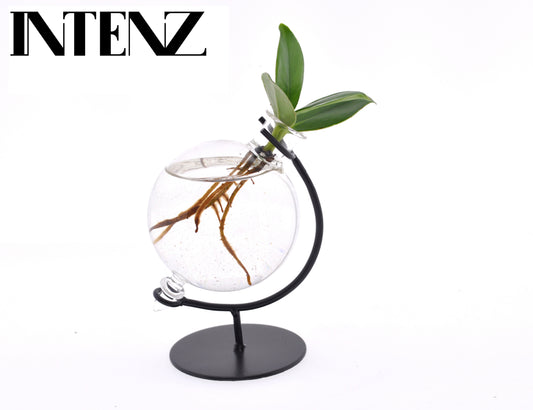 Clusia Princess 10cm 5cm Pot