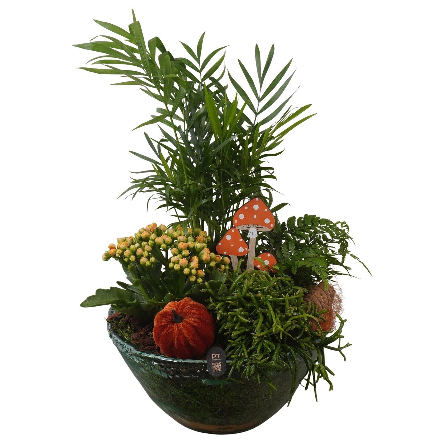 Indoor arrangement 46cm 26cm Pot