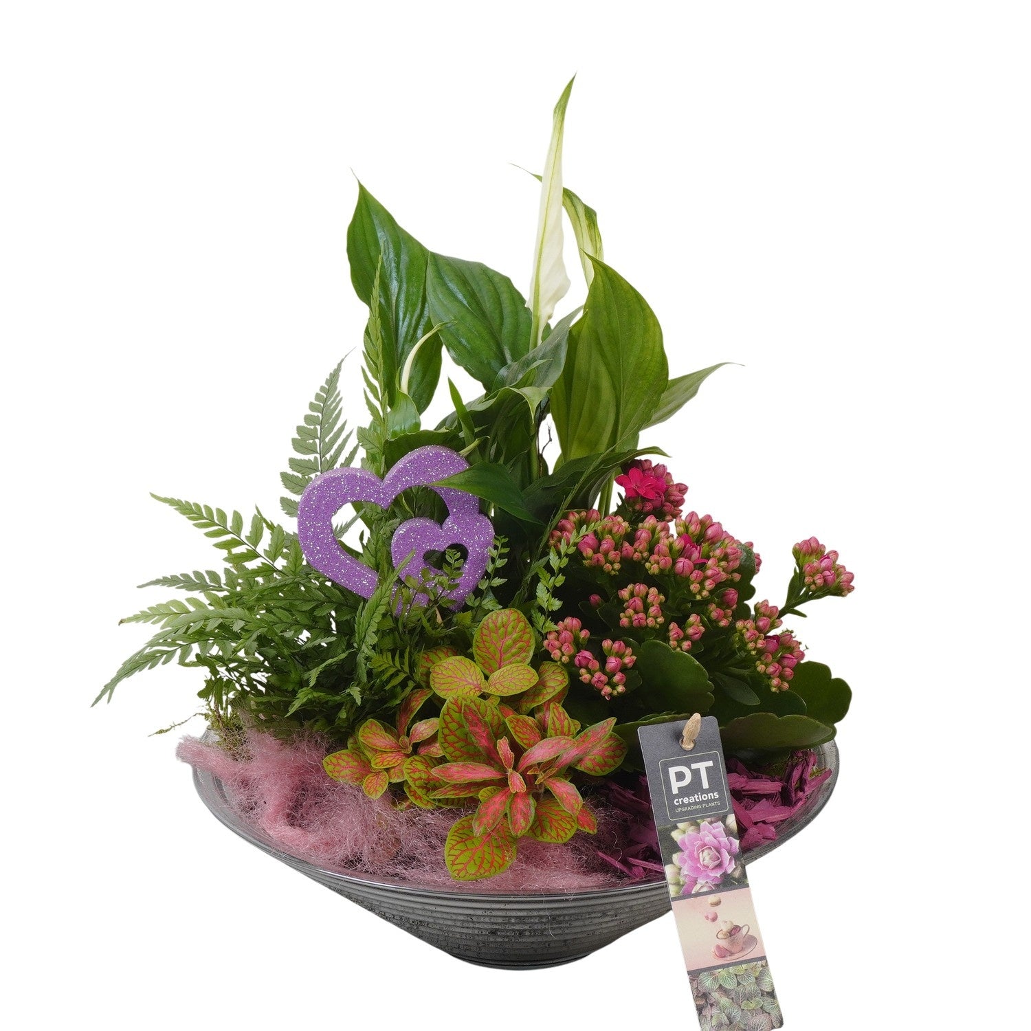 Indoor arrangement 36cm 26cm Pot