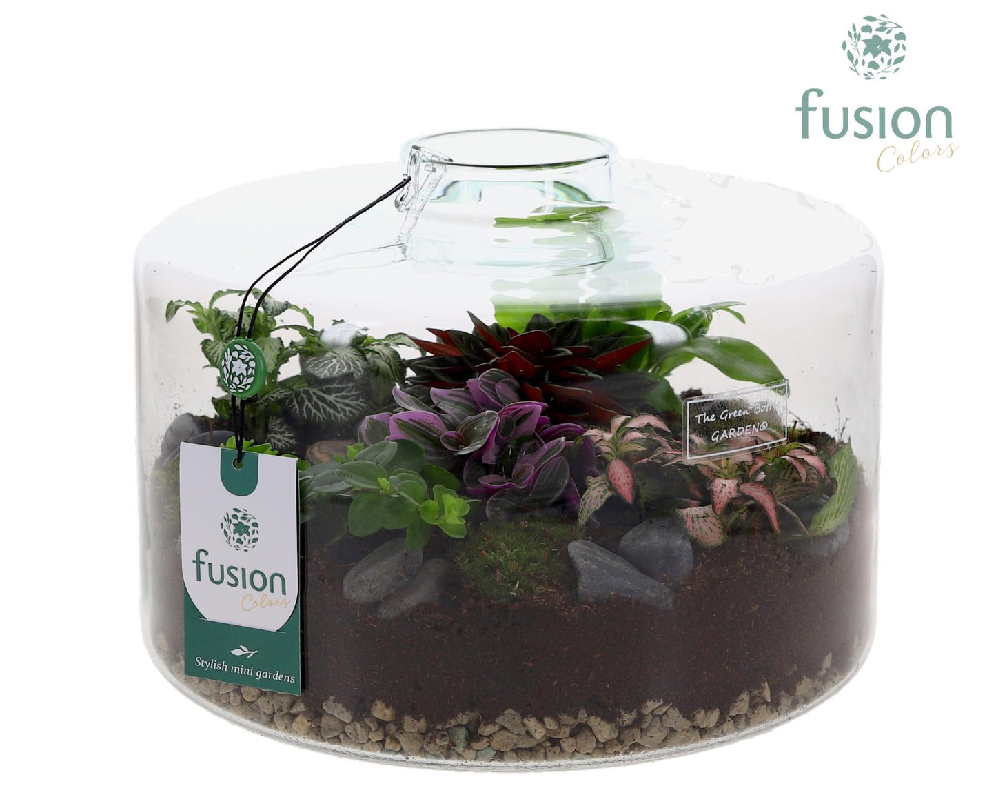 Fusioncolors BV Green Bottle Kyra XLarge met arrangement Pack of 1