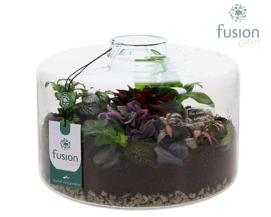 Green Bottle Kyra XLarge met arrangement 20cm 27cm Pot
