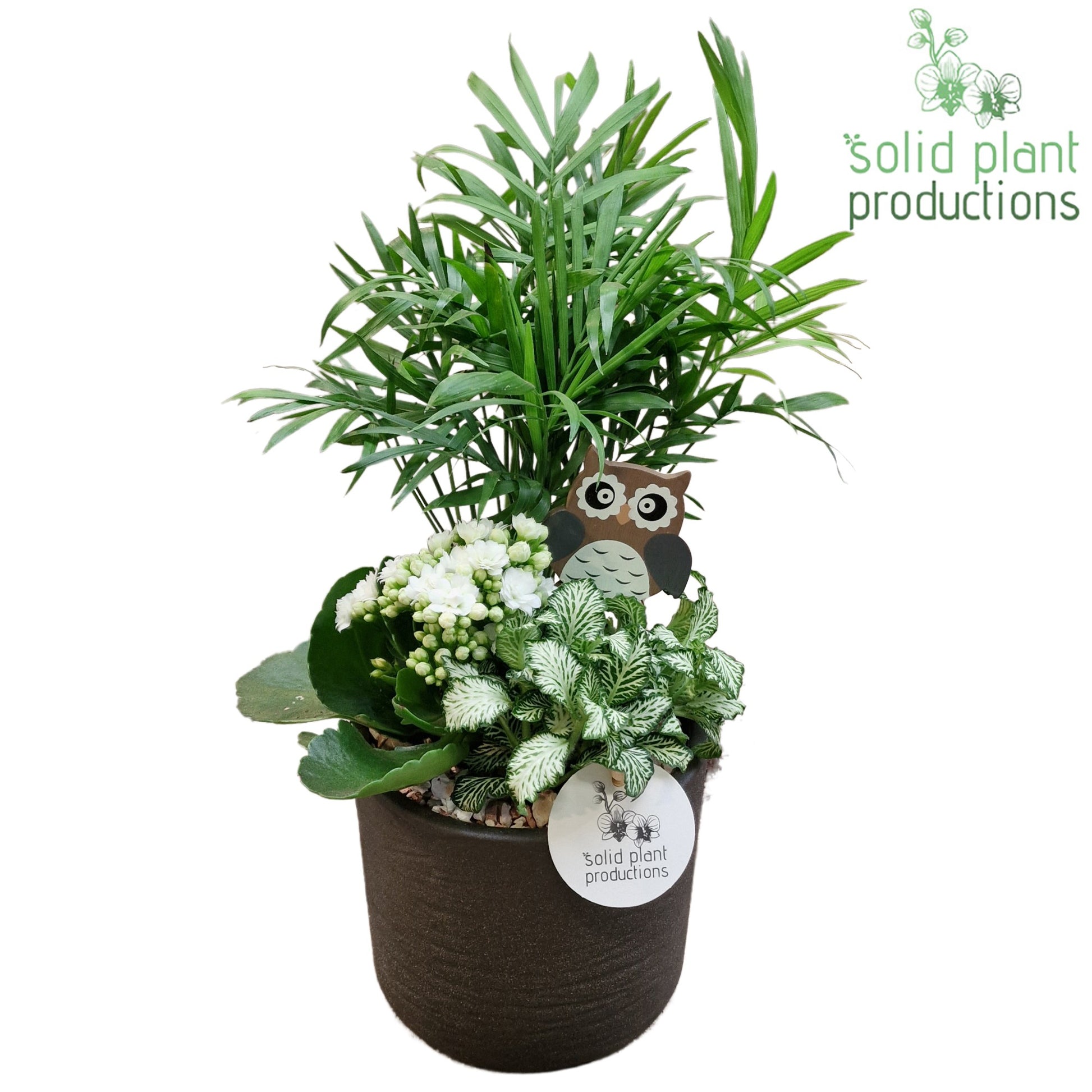 SC001 Amy Grey Stone Mix 35cm 13cm Pot