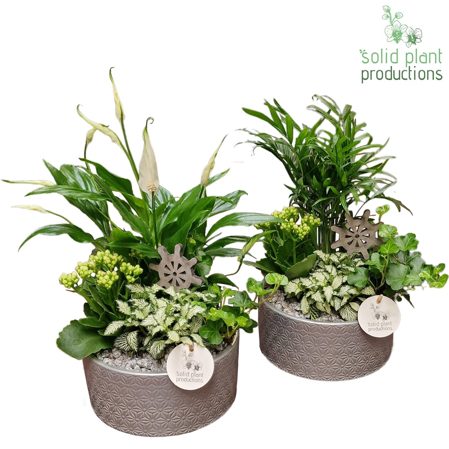 Solid Plant Productions SC003 Loes Steel Mix Pack of 4