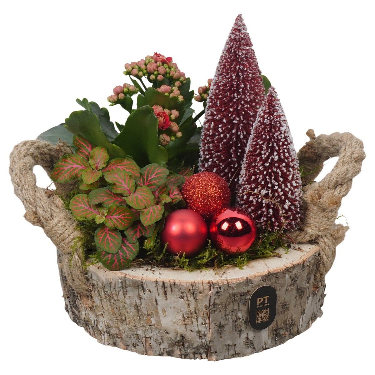 Christmas arrangement 19cm 18cm Pot