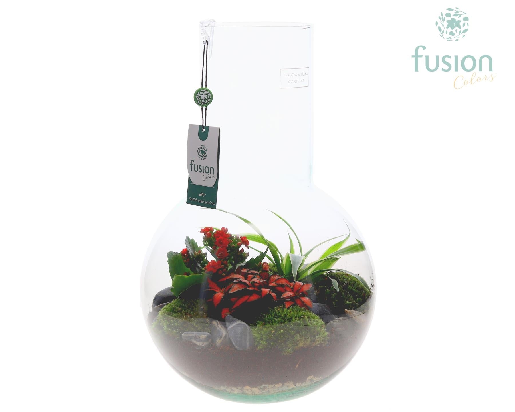 Green Bottle Suzanne Large met arrangement 43cm 26cm Pot