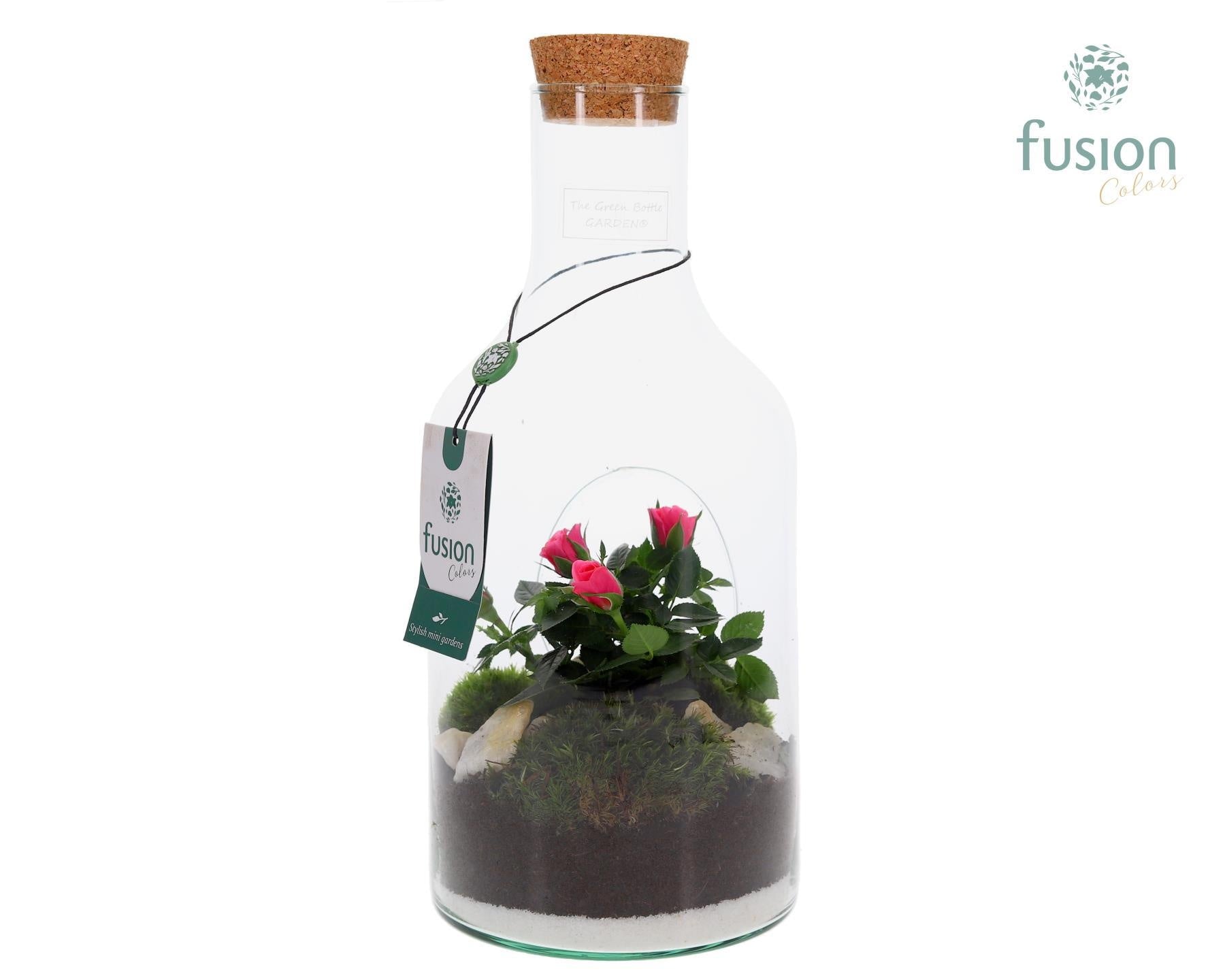 Fusioncolors BV Green Bottle Fles Small met Potroos Pack of 6