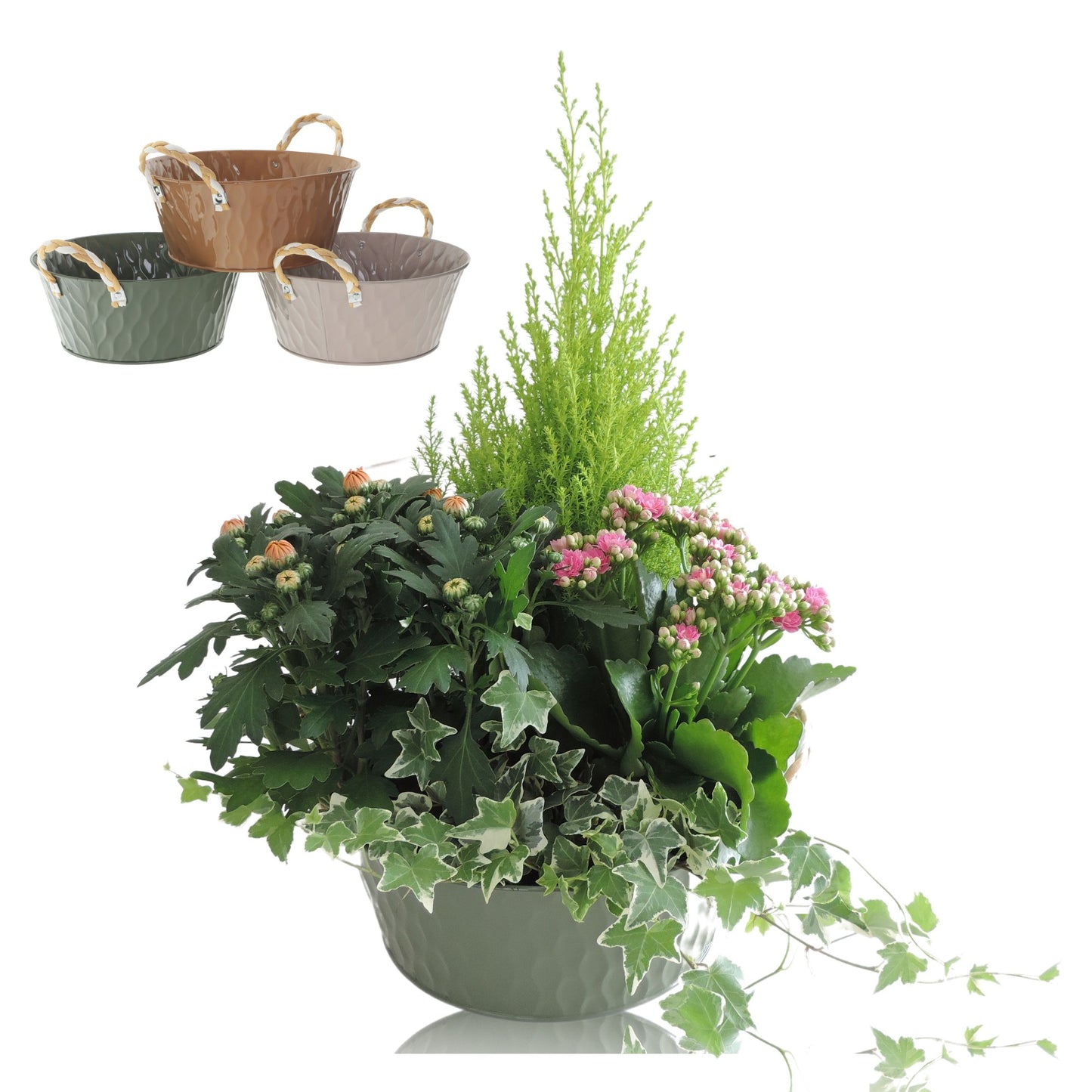 Outdoor arrangement 55cm 25cm Pot