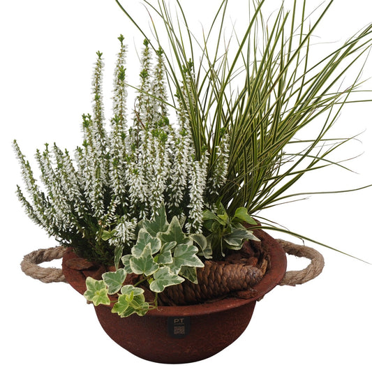 Outdoor arrangement 40cm 18cm Pot