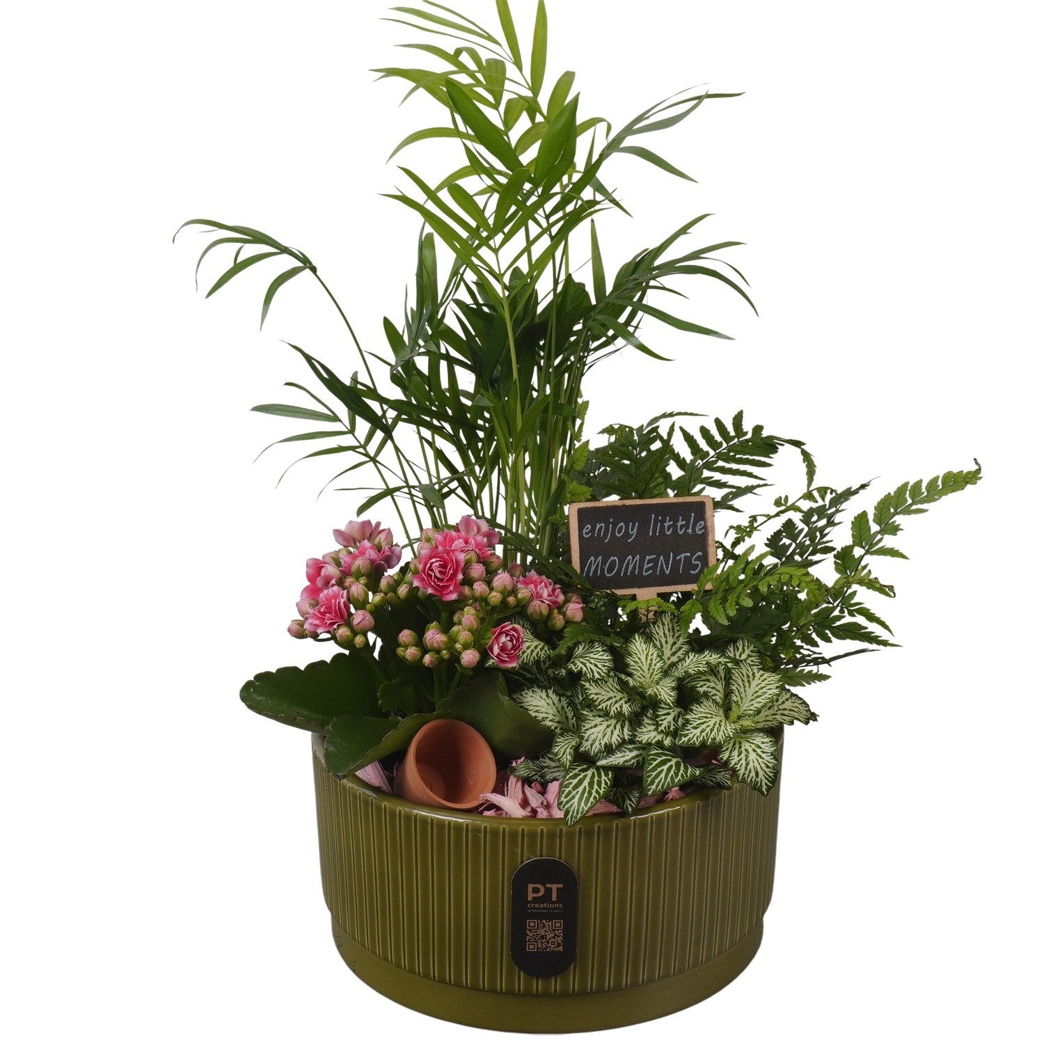 Indoor arrangement 38cm 19cm Pot