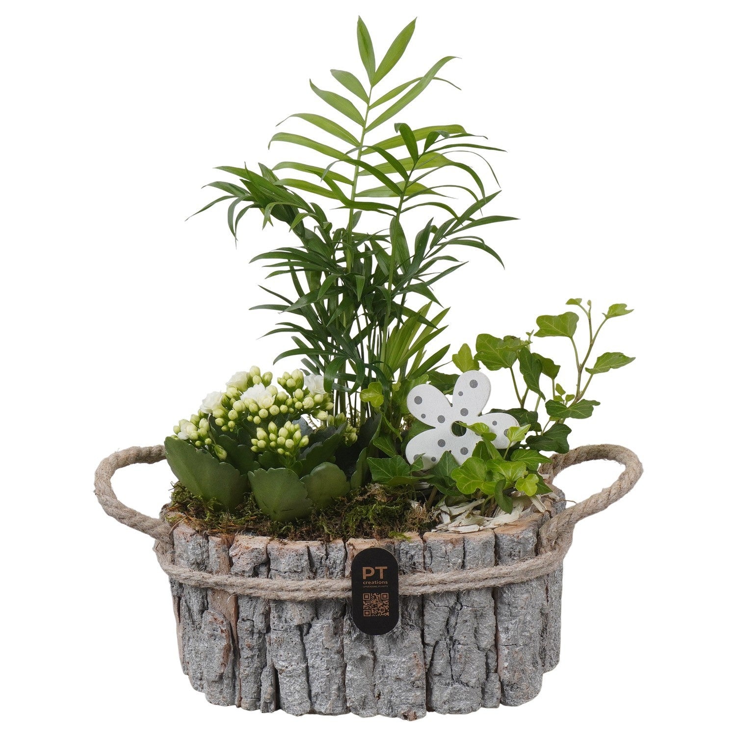 Indoor arrangement 35cm 23cm Pot