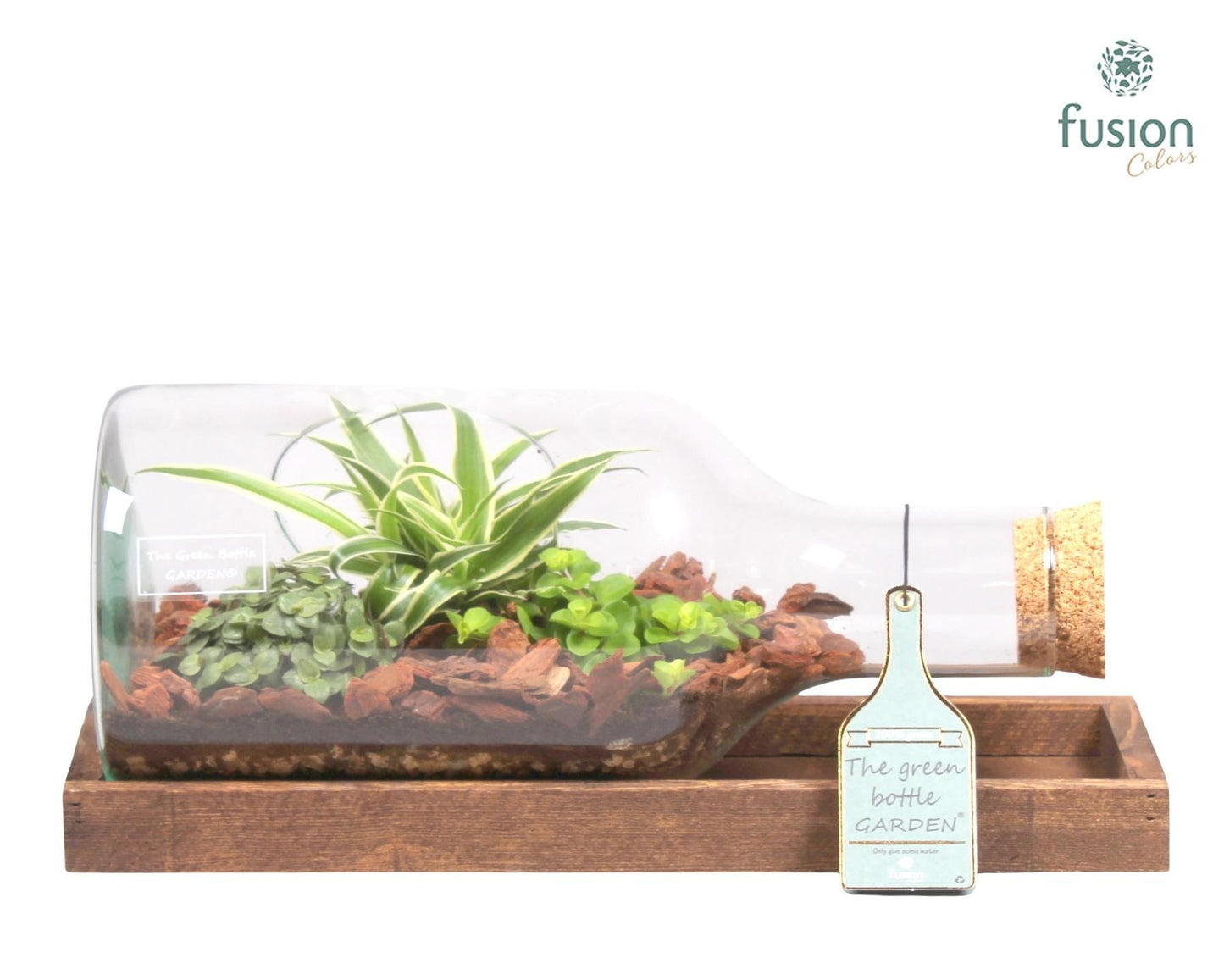 Fusioncolors BV Green Bottle Fles Small liggend met groene planten 3pp Pack of 2