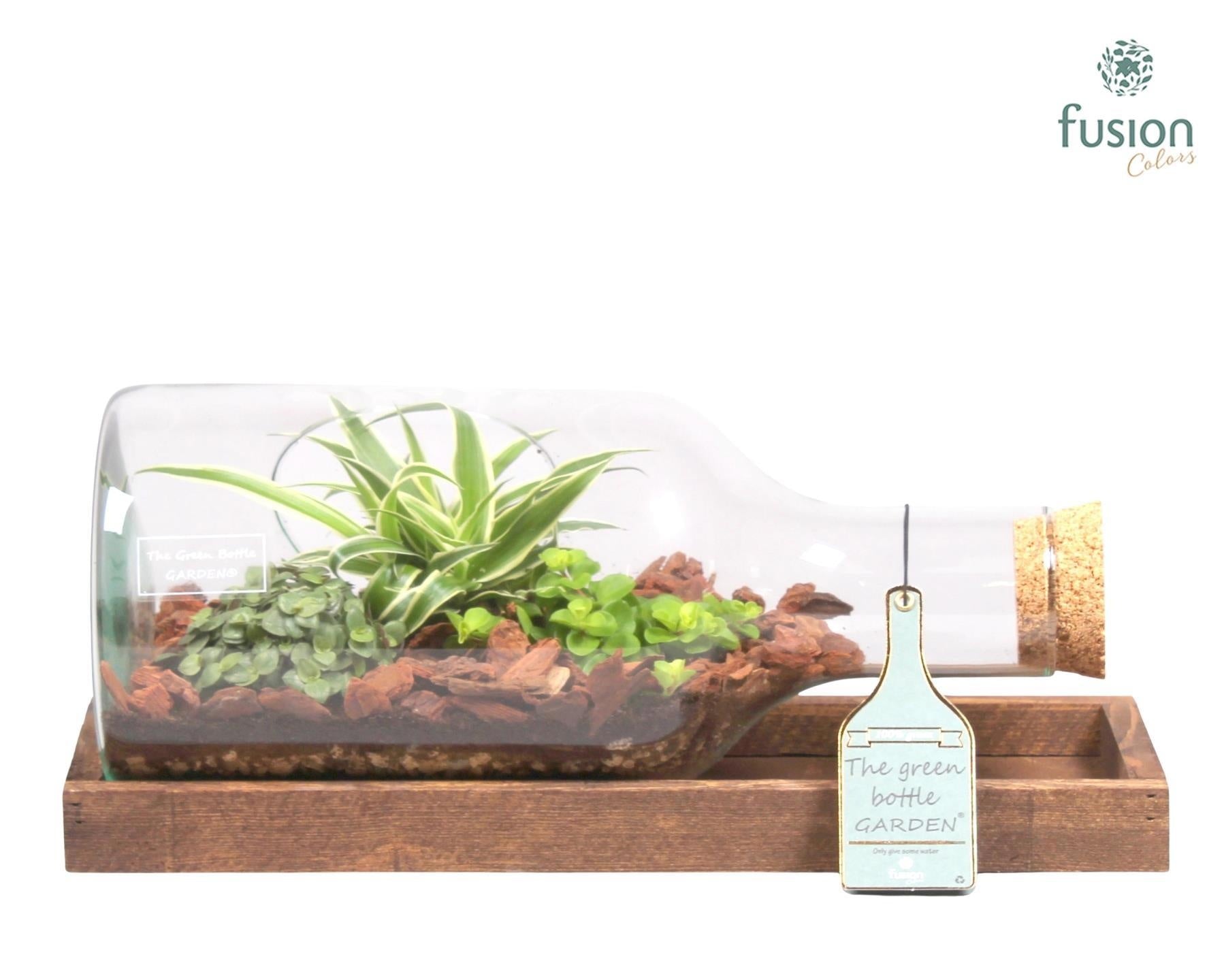 Fusioncolors BV Green Bottle Fles Small liggend met groene planten 3pp Pack of 2