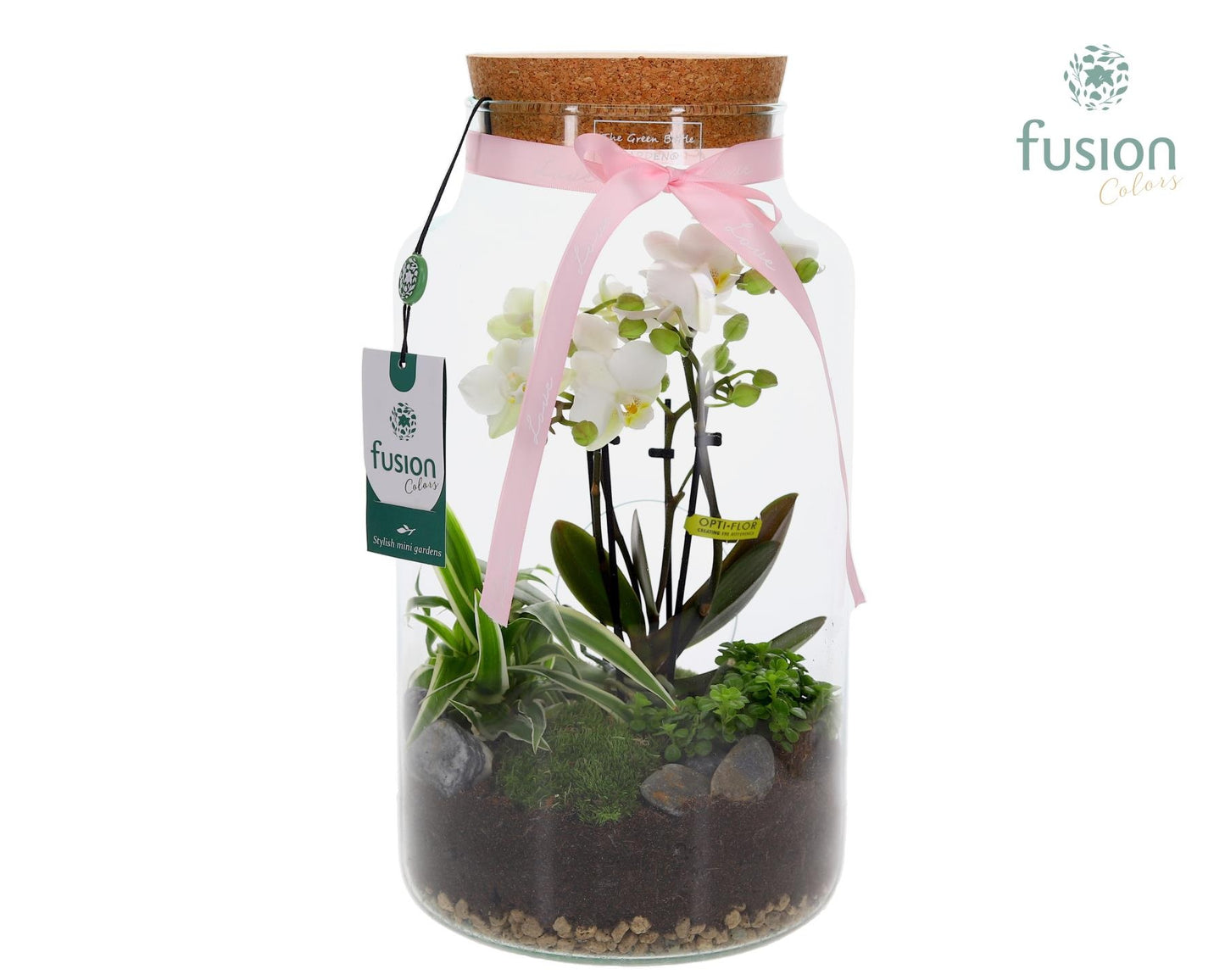 Green Bottle Pot Large 4tak Phalaenopsis arrangement 24 uurs levertijd 35cm 19cm Pot