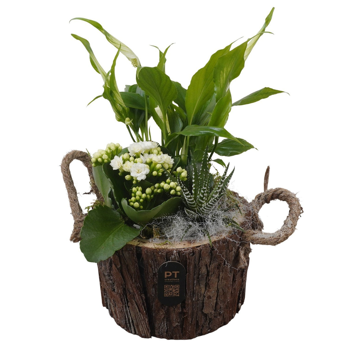 Indoor arrangement 30cm 16cm Pot