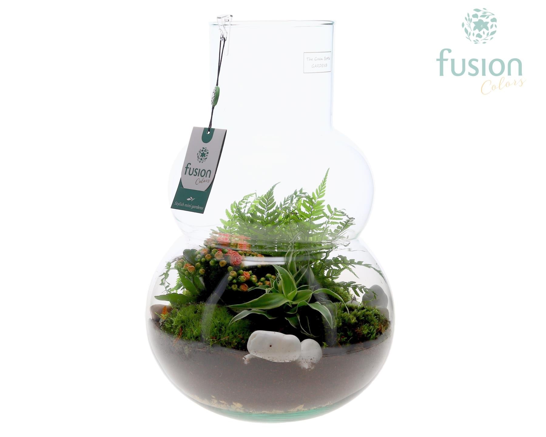 Fusioncolors BV Green Bottle Olaf Large met arrangement Pack of 2