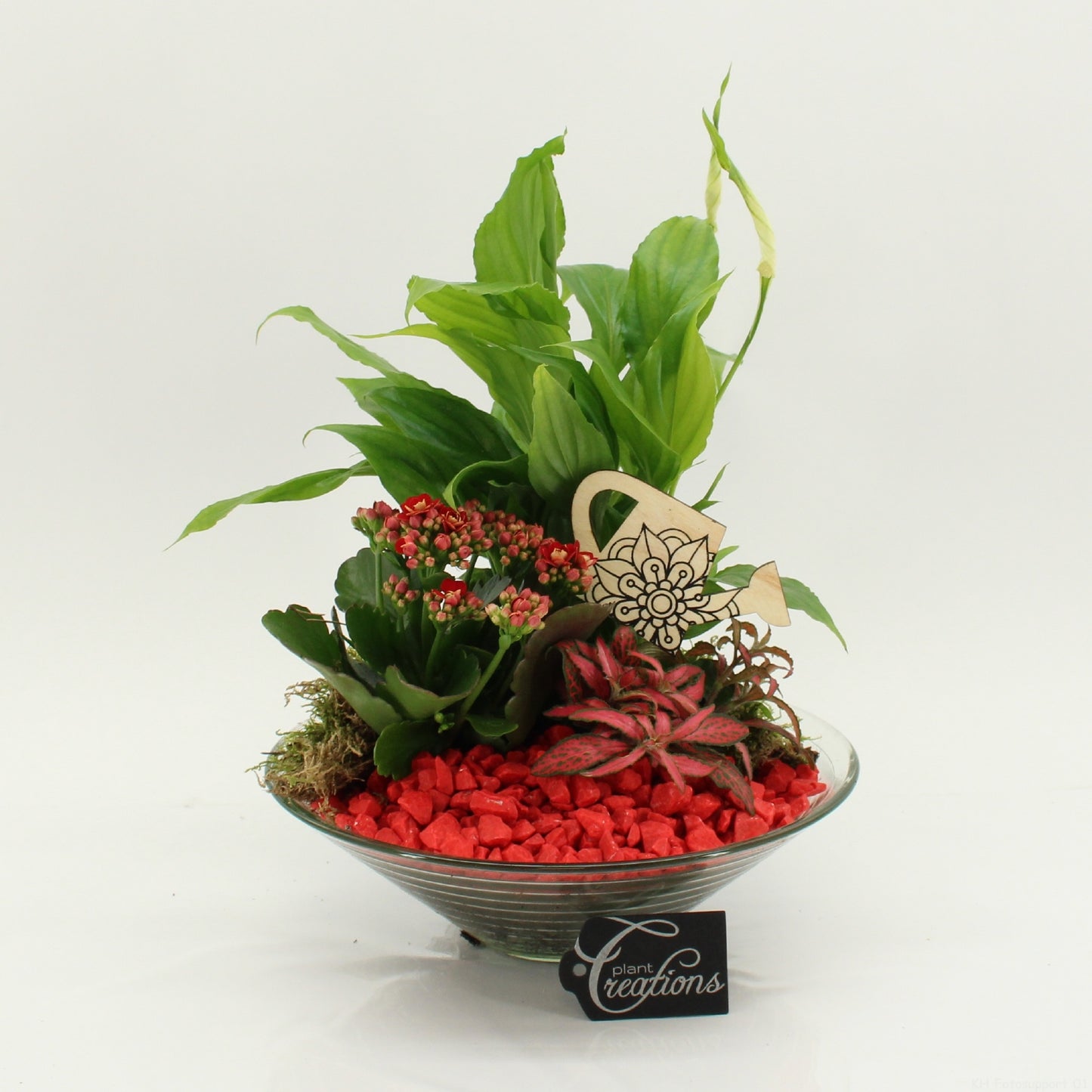 FDCR-2602R Basic Fundamentals 35cm 25cm Pot