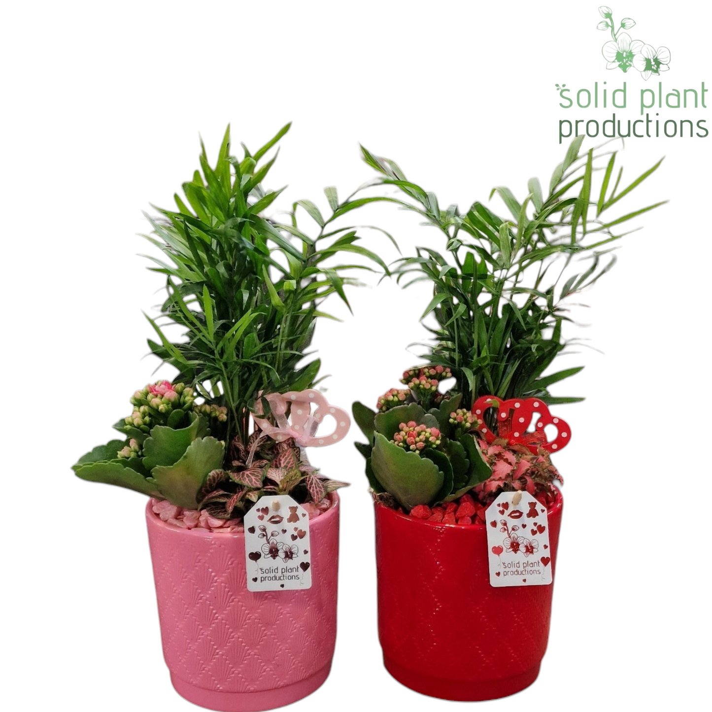 CE001 Amy Mix R/P 35cm 13cm Pot