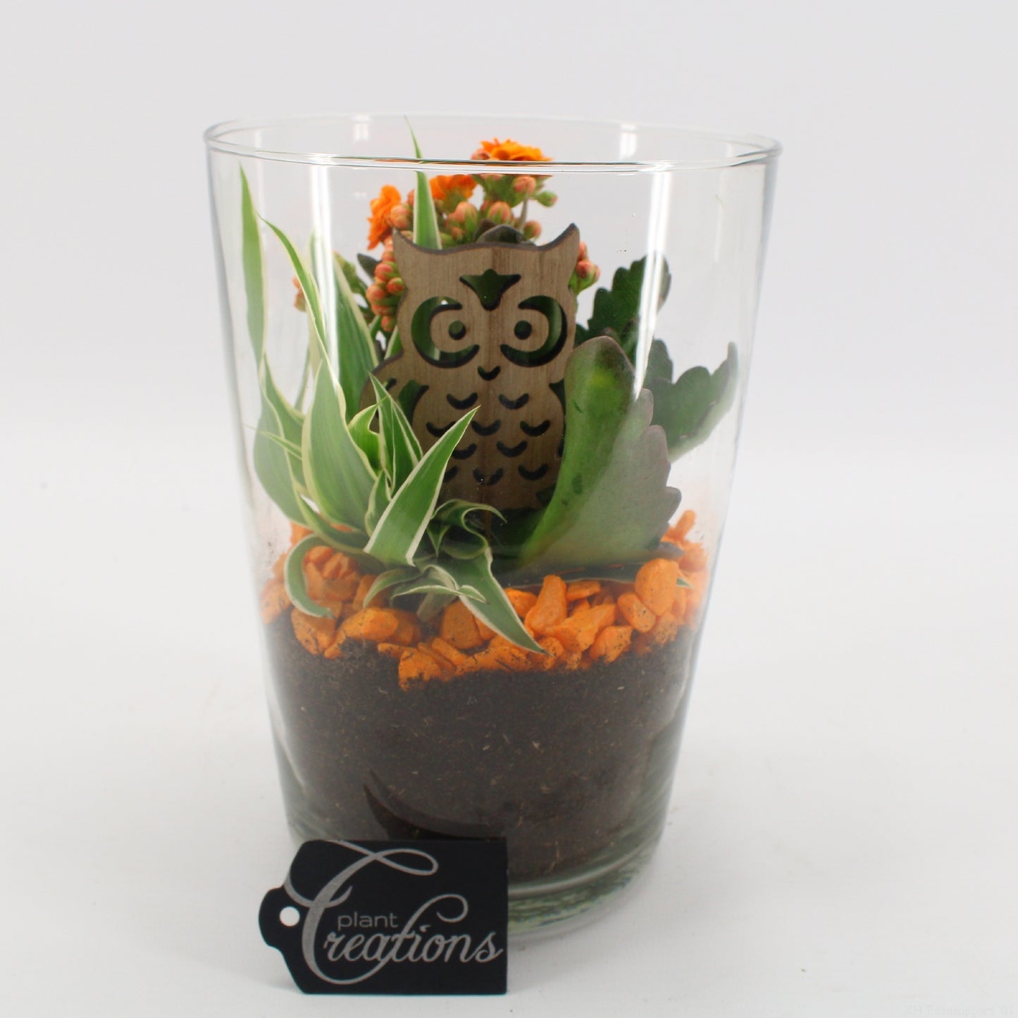 BHCR-2605 Autumn Fundamentals 20cm 14cm Pot