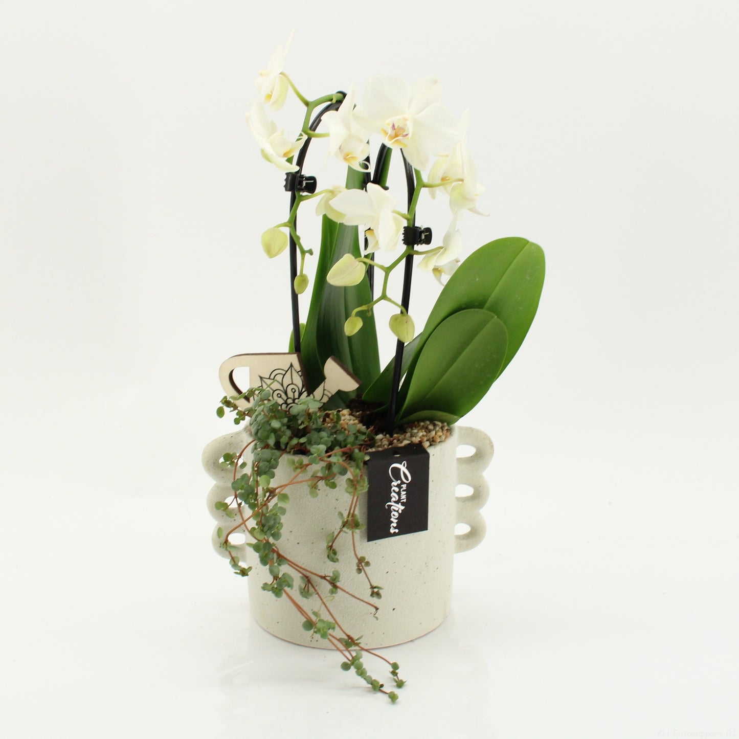 PHAL-2616W Phalaenopsis creatie 45cm 18cm Pot