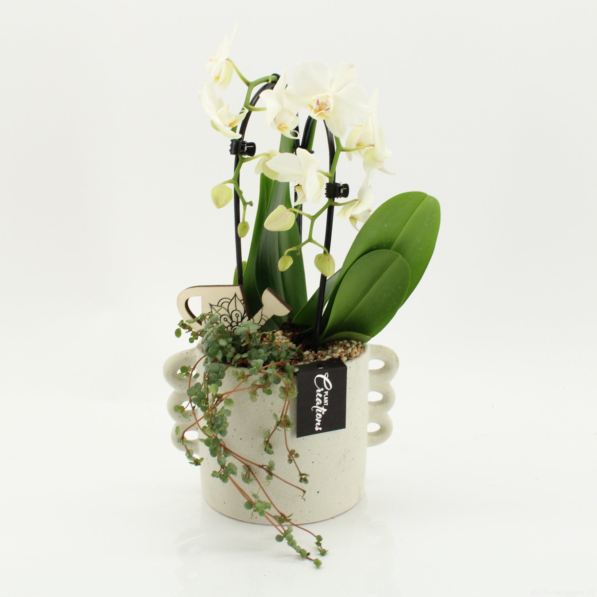 PHAL-2616W Phalaenopsis creatie 45cm 18cm Pot