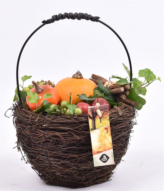 arr. Sierfruit 17cm Pot