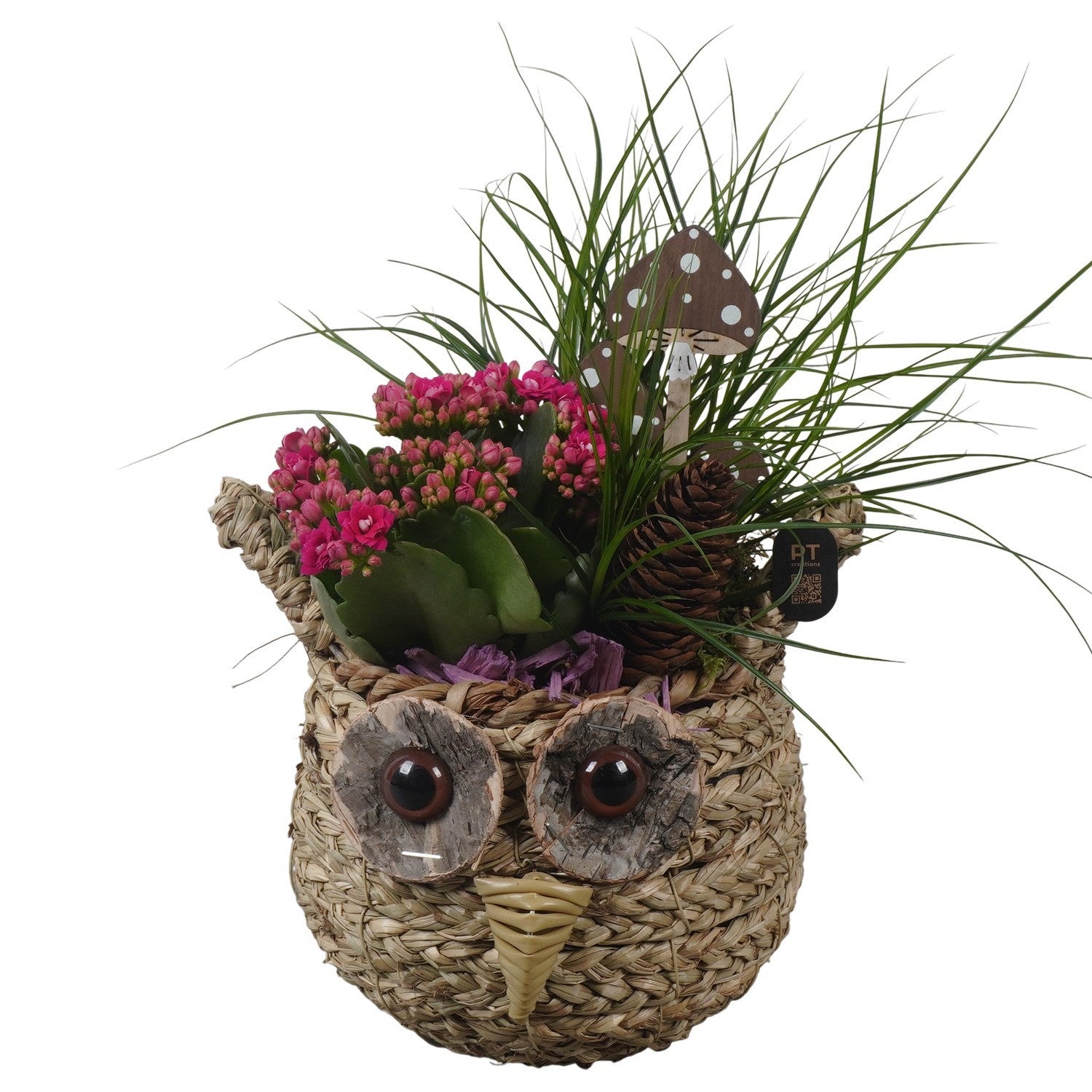 Indoor arrangement 34cm 18cm Pot