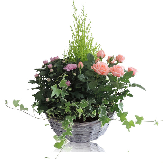 Outdoor arrangement 55cm 29cm Pot