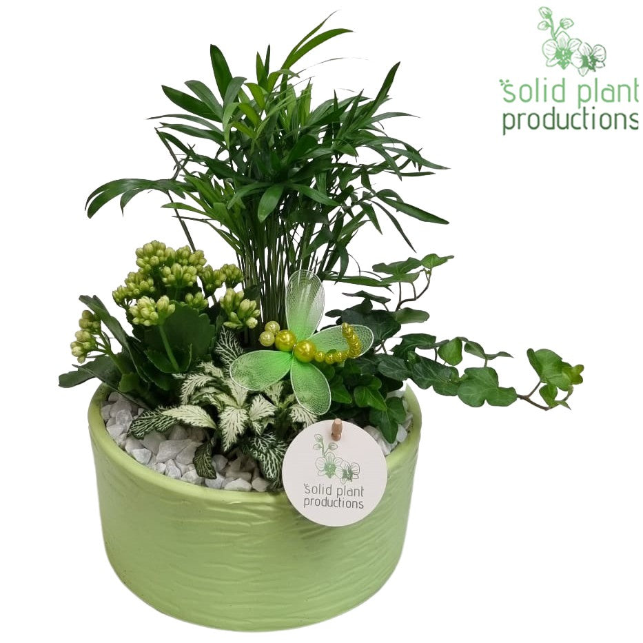 CH003 Loes Light Green 35cm 18cm Pot