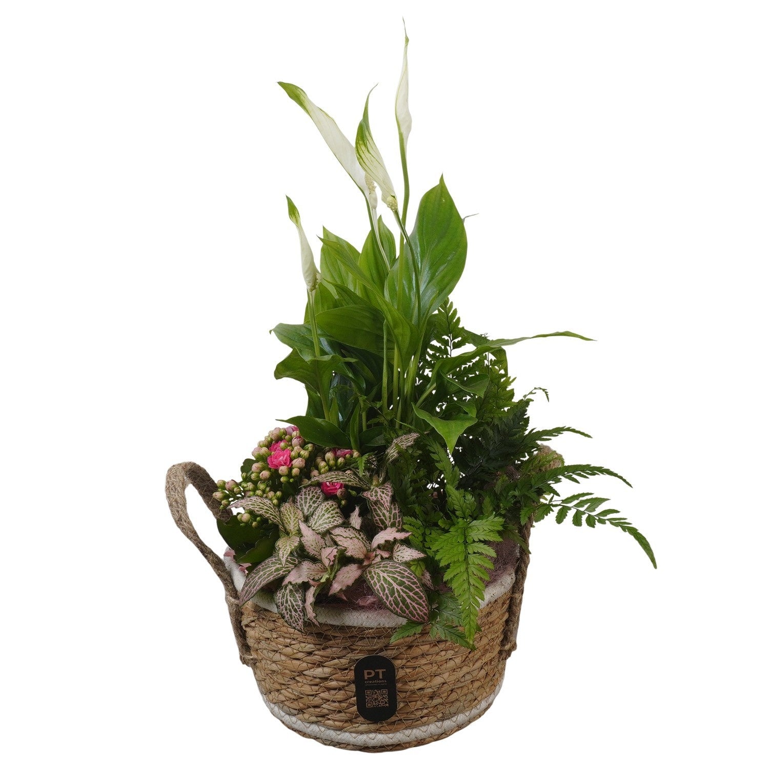 Indoor arrangement 44cm 19cm Pot