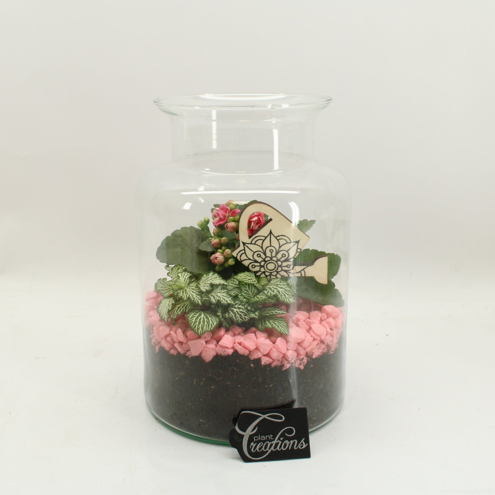 Indoor flowering arrangement 25cm 17cm Pot