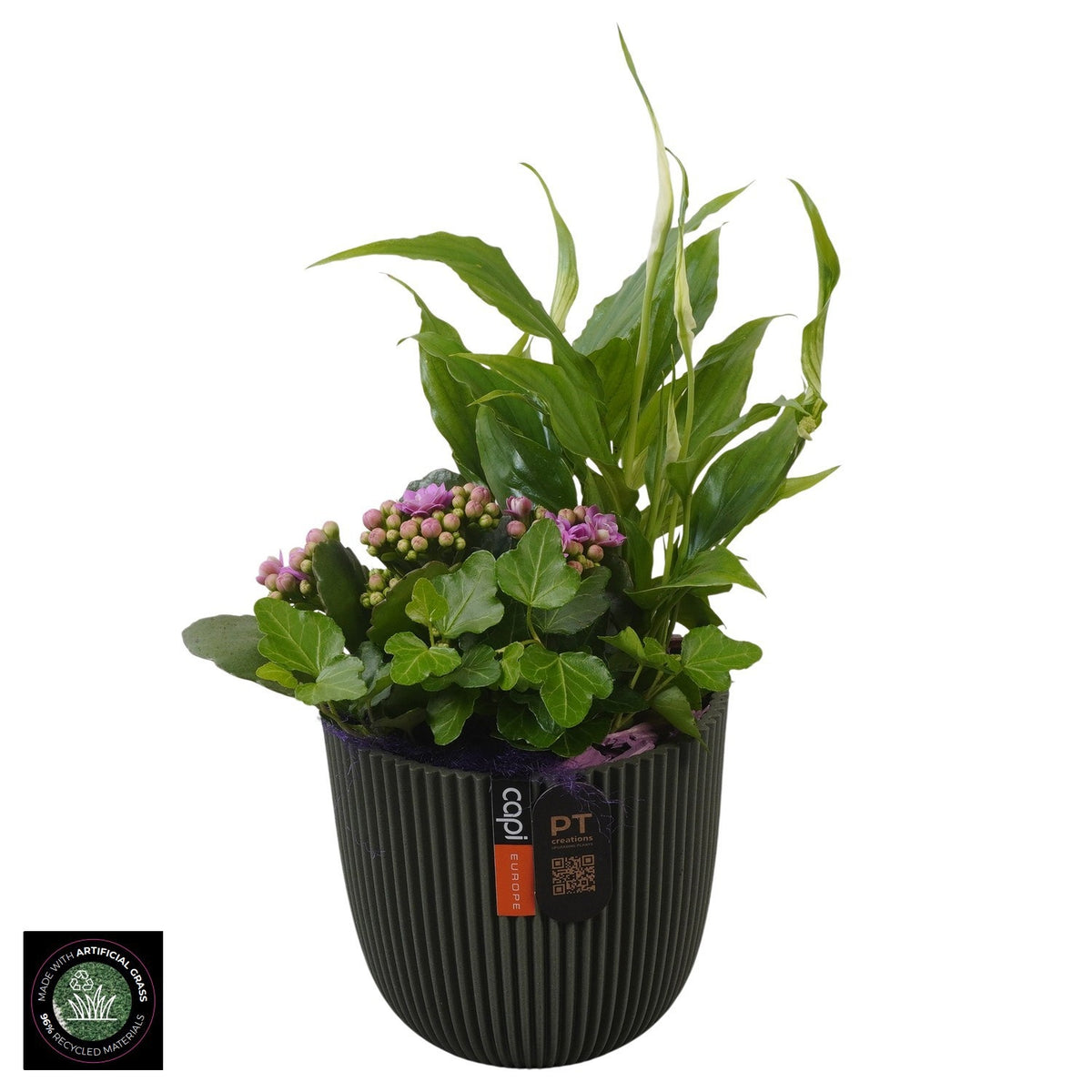 Indoor arrangement 33cm 13cm Pot