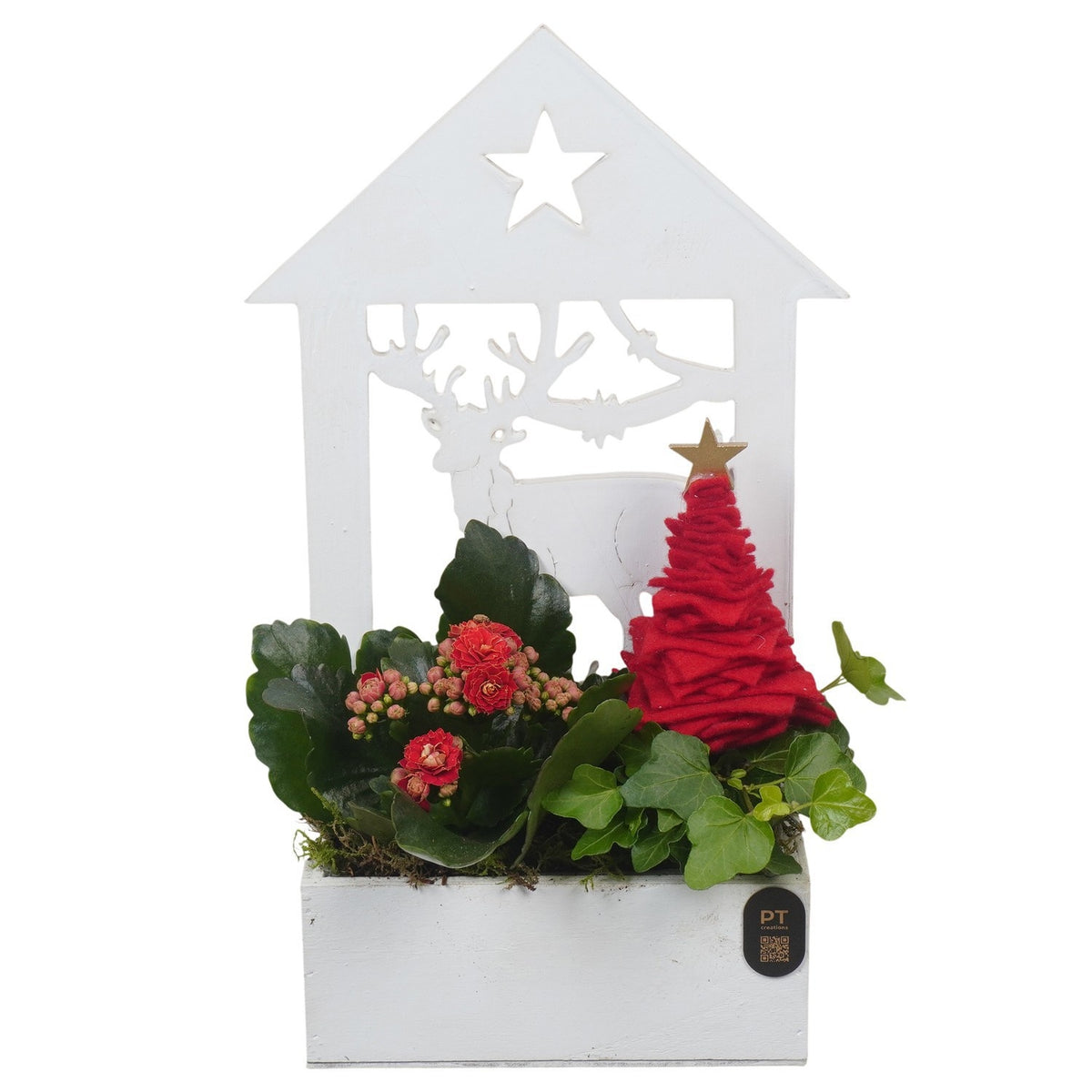 Christmas arrangement 31cm 16cm Pot