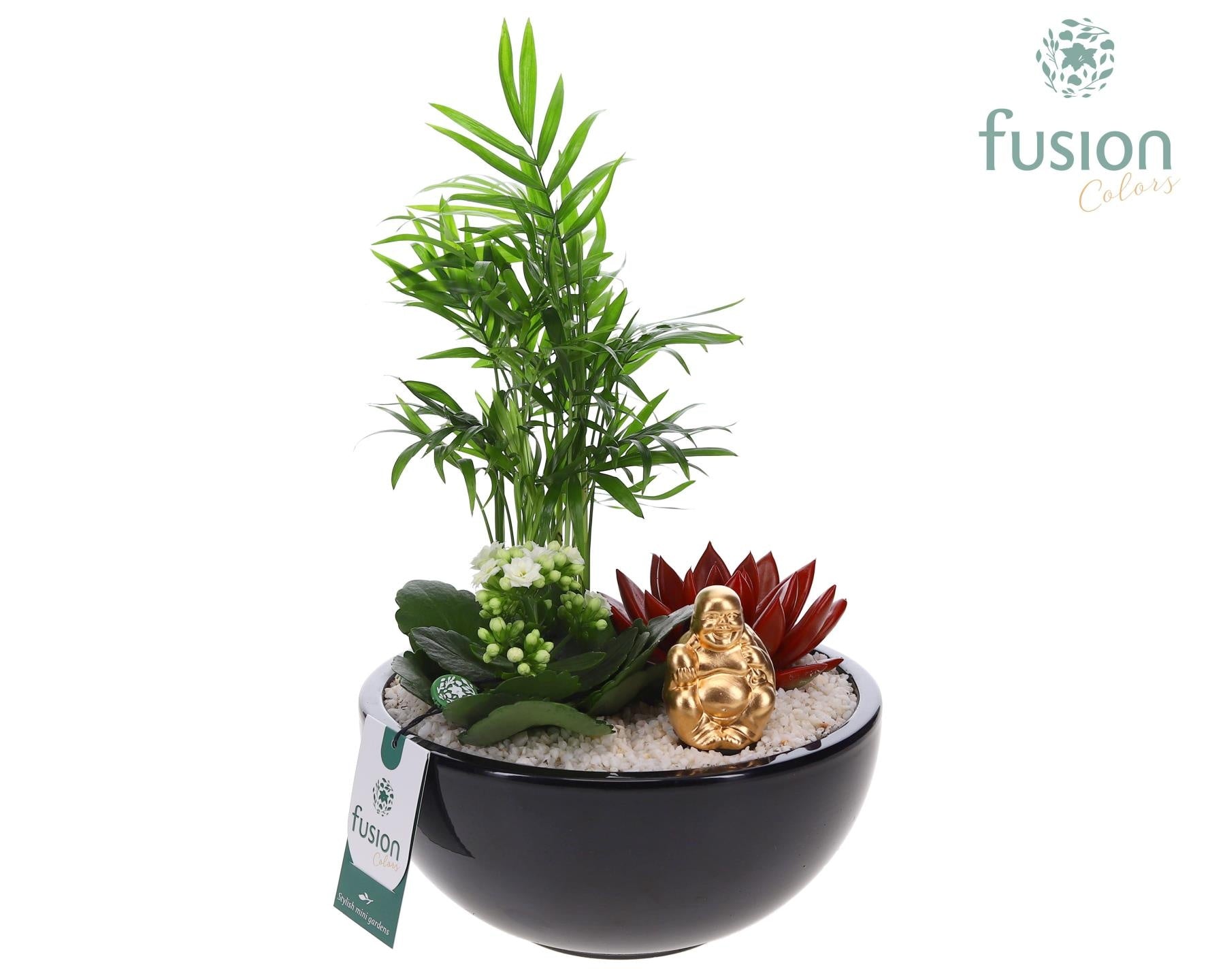 Keramiek moonschaal met Arrangement 35cm 20cm Pot