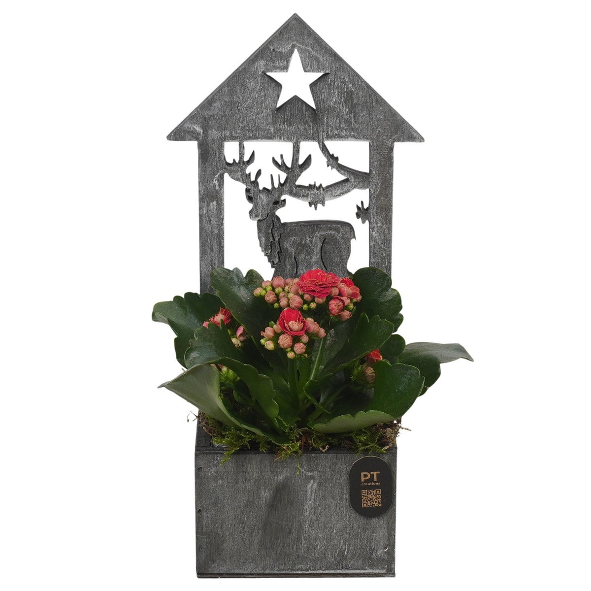 Christmas arrangement 24cm 9cm Pot